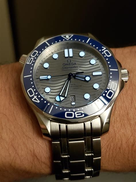 omega seamaster best.